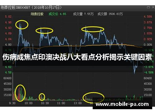 伤病成焦点印澳决战八大看点分析揭示关键因素