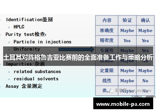 土耳其对阵格鲁吉亚比赛前的全面准备工作与策略分析 土耳其对阵格鲁吉亚比赛前的全面准备工作与策略分析