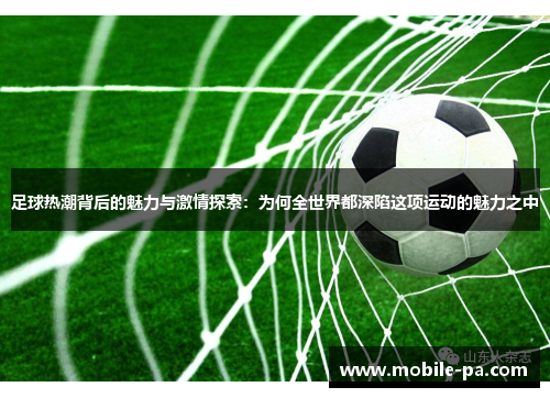 足球热潮背后的魅力与激情探索：为何全世界都深陷这项运动的魅力之中