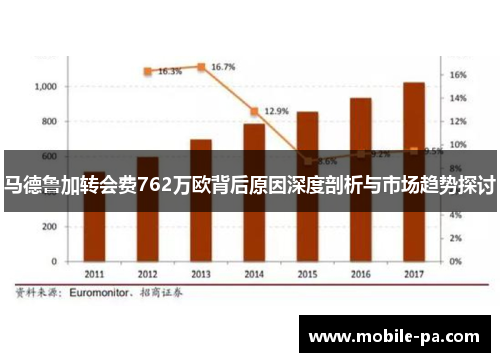 马德鲁加转会费762万欧背后原因深度剖析与市场趋势探讨 马德鲁加转会费762万欧背后原因深度剖析与市场趋势探讨