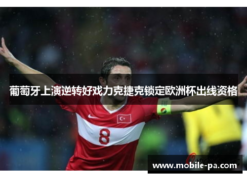 葡萄牙上演逆转好戏力克捷克锁定欧洲杯出线资格 葡萄牙上演逆转好戏力克捷克锁定欧洲杯出线资格