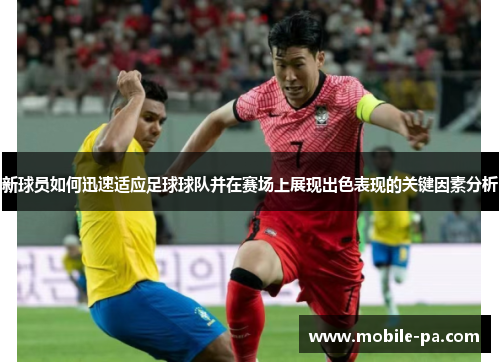 新球员如何迅速适应足球球队并在赛场上展现出色表现的关键因素分析