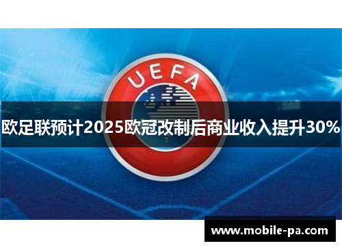 欧足联预计2025欧冠改制后商业收入提升30% 欧足联预计2025欧冠改制后商业收入提升30%