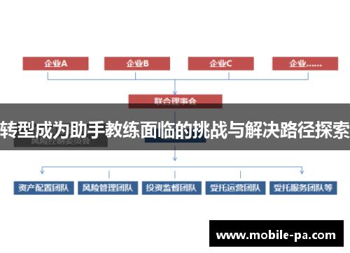 转型成为助手教练面临的挑战与解决路径探索