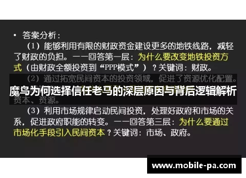 魔鸟为何选择信任老马的深层原因与背后逻辑解析