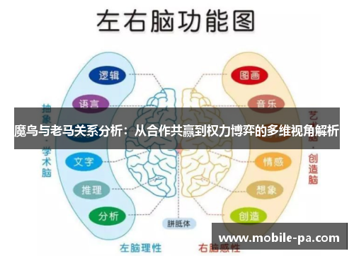 魔鸟与老马关系分析：从合作共赢到权力博弈的多维视角解析