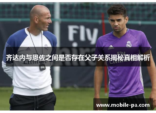 齐达内与恩佐之间是否存在父子关系揭秘真相解析