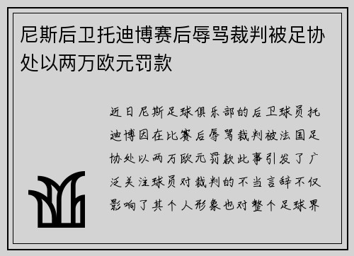 尼斯后卫托迪博赛后辱骂裁判被足协处以两万欧元罚款